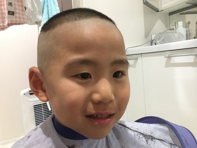 冷やし柔道はじめました 五厘 冷やし柔道はじめました 五厘
