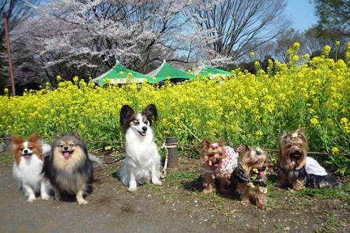 楽しい１日の終わり１４