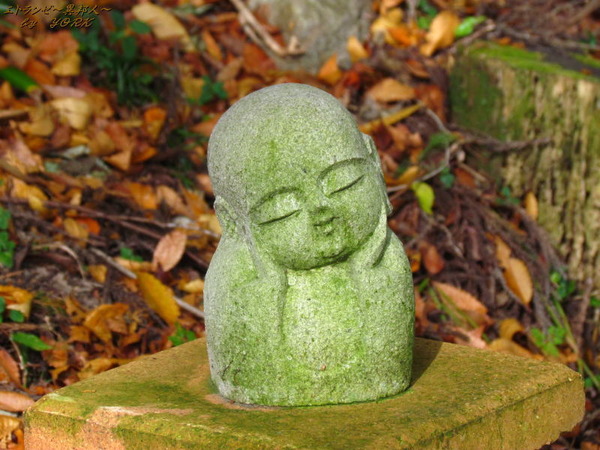 0426������Τ�����¢���ȼ�161113