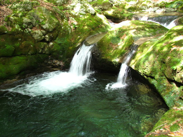 4655ŷ��ʥ140920