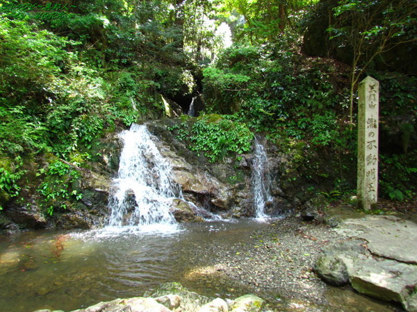 8577��ζ���첼����150517