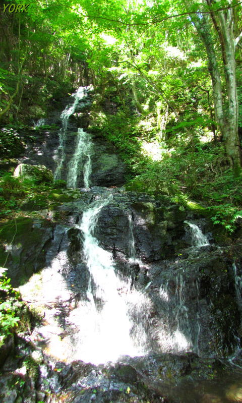 �����ѡ�2350�������480��800