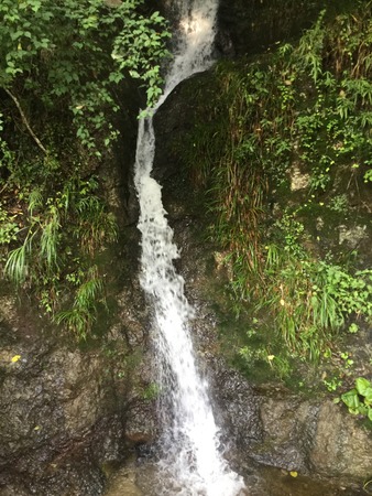 611F2210-5369-42B0-BA45-7DFF4958BD47