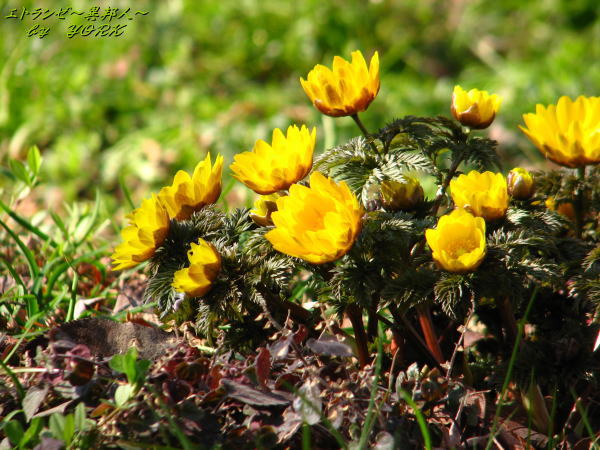 2223ʡ����140222