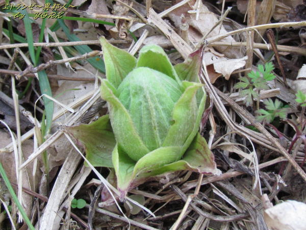 6408�դ��ΤȤ��