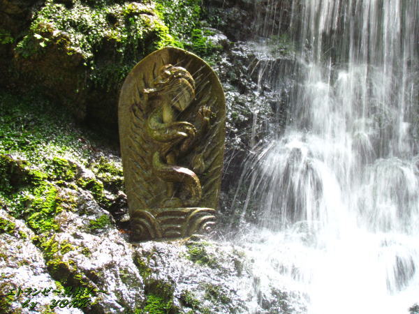 8588��ζ�����ε������150517