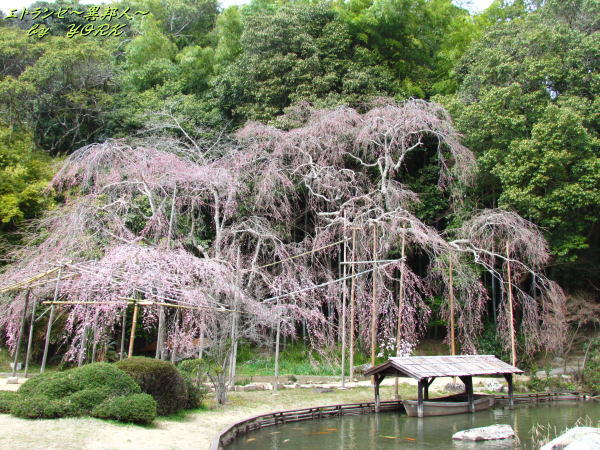 2472�⸻���޿����ޤ��170326