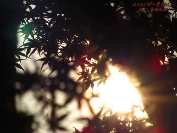 0407���դΥ��륨�å�111009