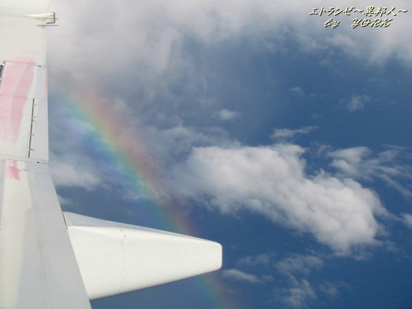 2489���Ե����鸫����140803