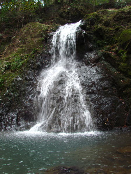 1115��������140125