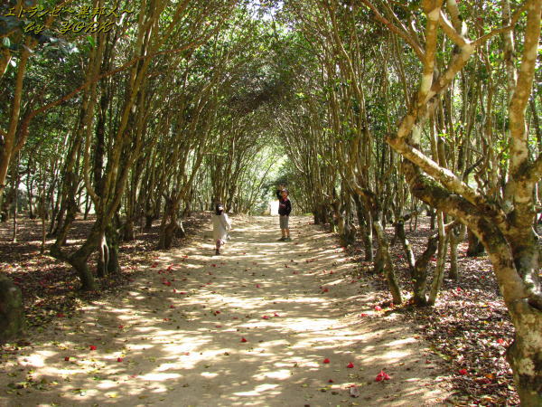 6937���ä�����130428