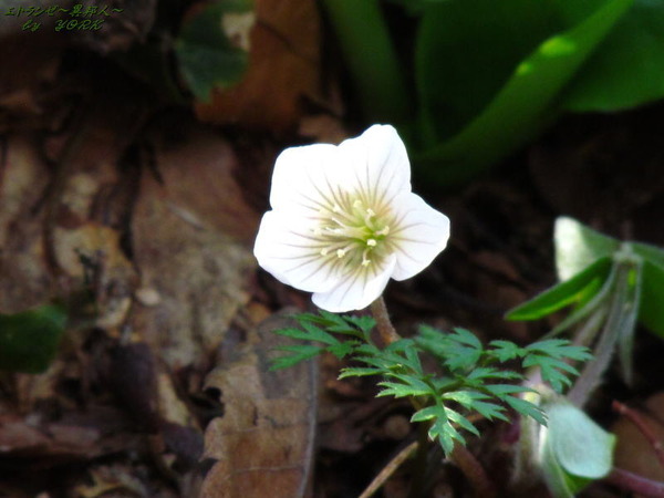 3170�����������170415