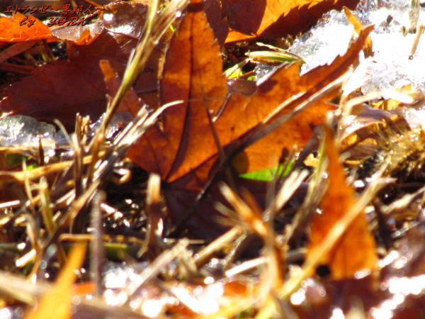 1255�Ϥ��դ���120102