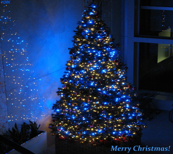 ���ޥ��ѡ�0090���ꥹ�ޥ��ĥ꡼960&times;854