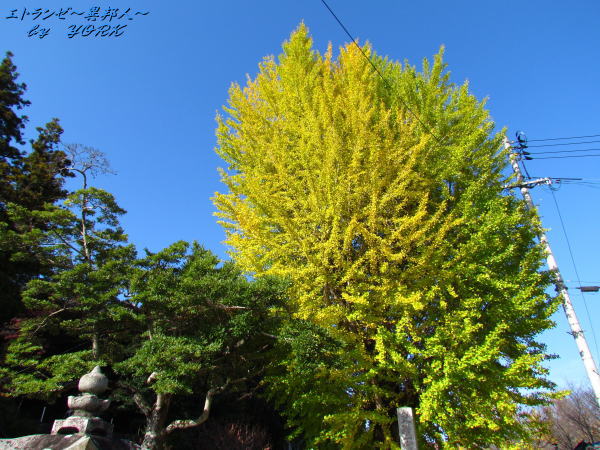 0367��ɤ���161112