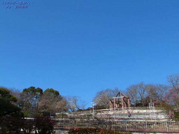 1970Ⱦ�Ļ���ʪ��170204