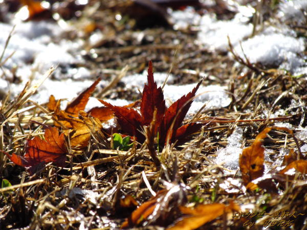 1256��ȸ���120102