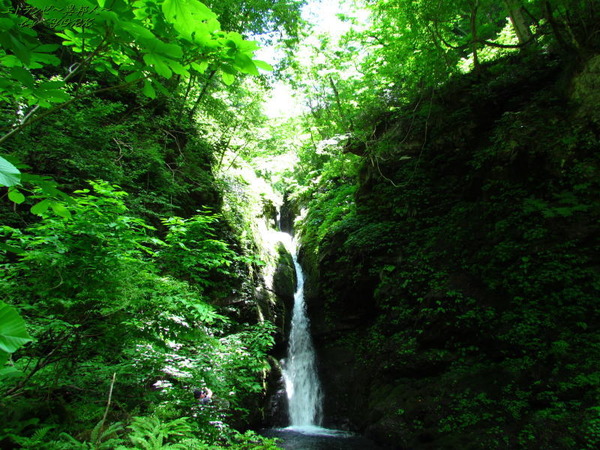 4270�Ȥ���170528