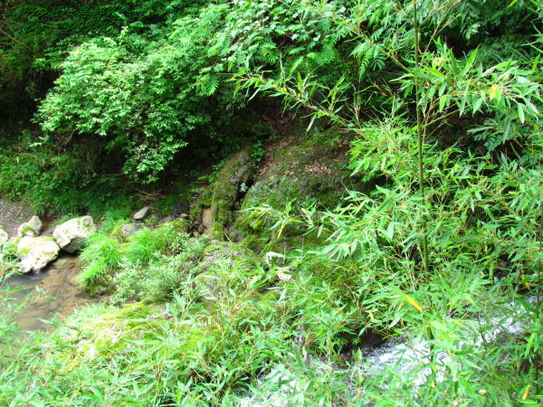 6296���ǥå���180610