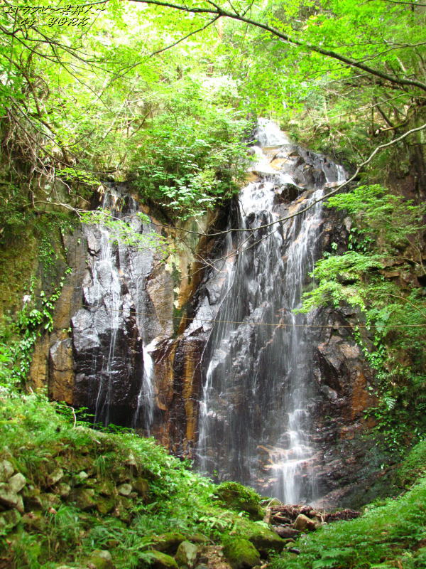 4699�ȥ��������140920