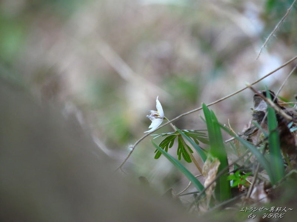 5587���ĥ֥󥽥�����180304