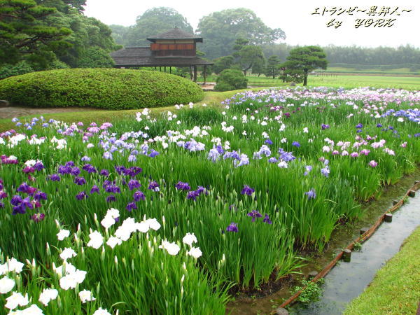 0959�־Գ���110612