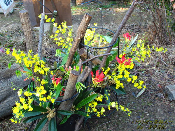 6224����줿��141122