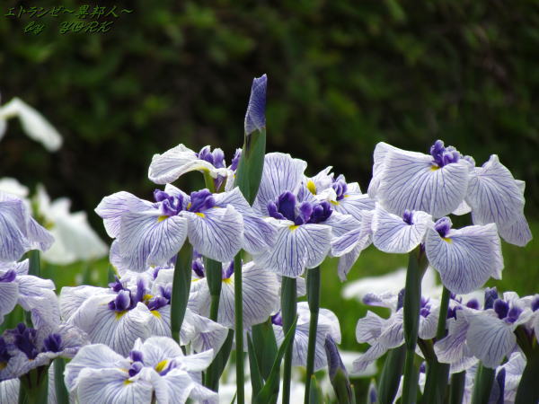 3312�־Գ�120617