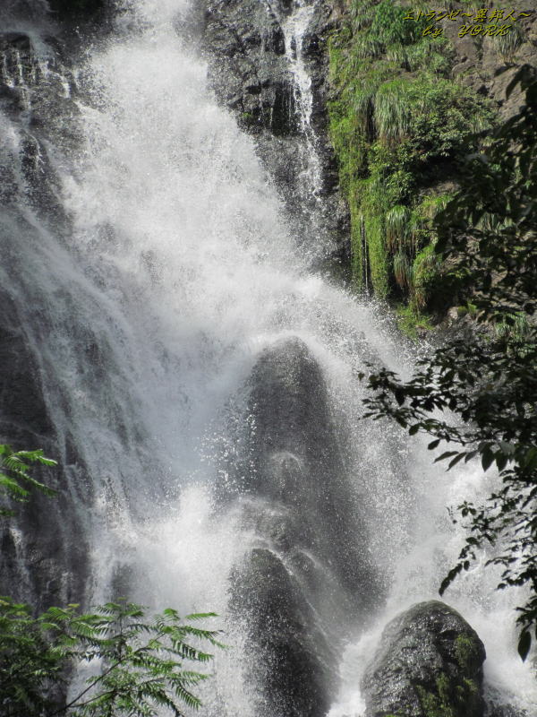 4426�������쥢�å�120819