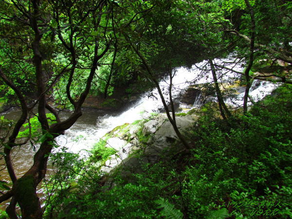 1825�ⲻ����140622