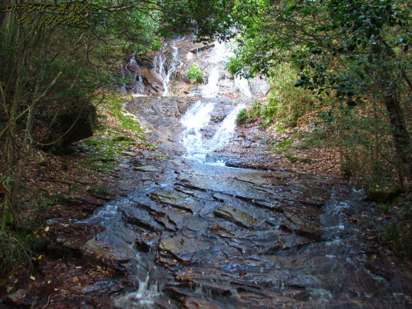 6704��������141213