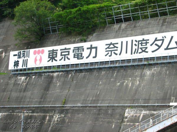 1559���ŤΥ���110816