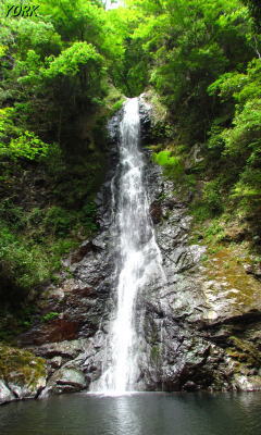 �����ѡ�7525εƬ����240��400