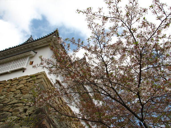 0319�ỳ����110420