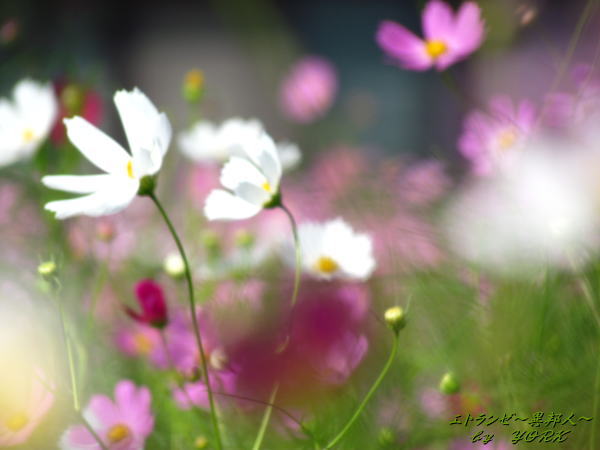 9342�������եȥե���������130928