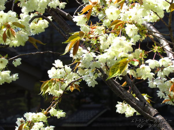 6822ݵ���130413