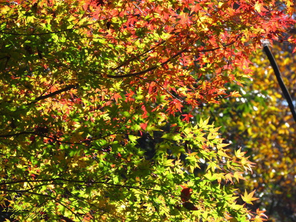 0308����ǡ���������161112