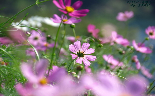 �ɻ桡9284����1280��800