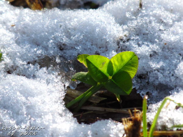 1258��β�����120102