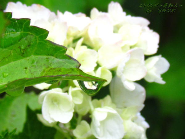 3278��ũ���Ĥ������120616