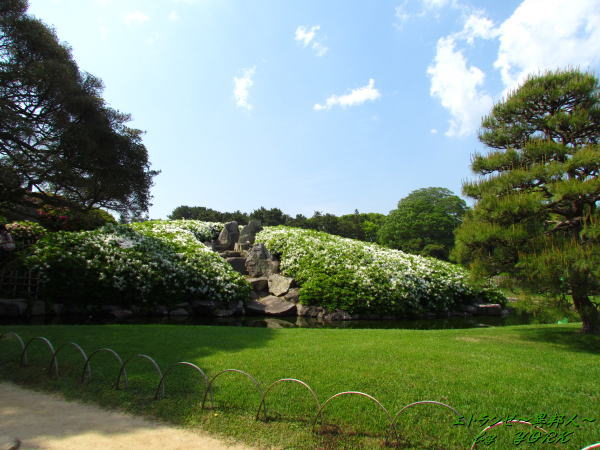 2631ͣ�����ʤ椤���󤶤��120506