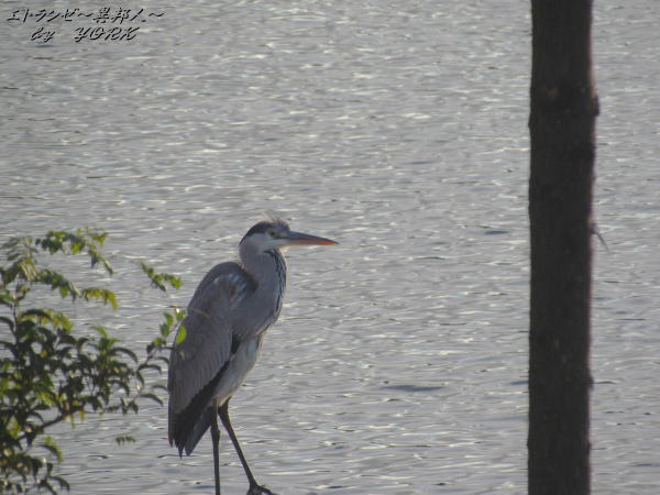 5063��������121117