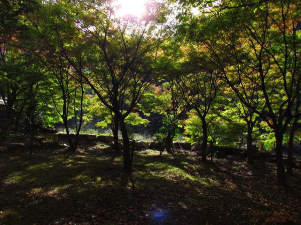 0689��ߥ����������̣��111112