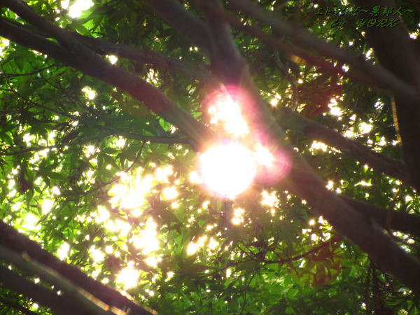 0404��ϳ����111009