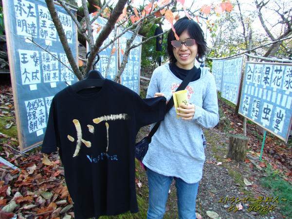 6237̼�������ԥ����141122