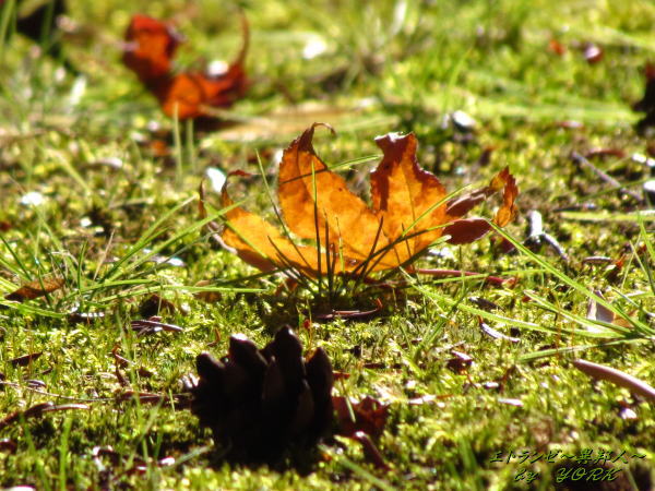 5502����դȾ��ܤä���121125