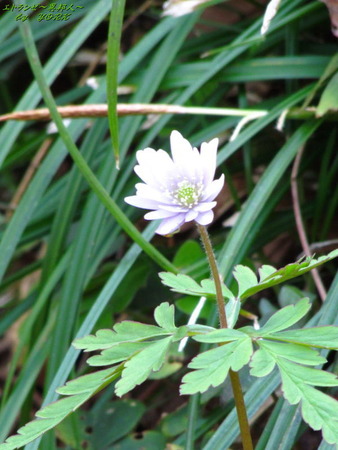 3221�������170415