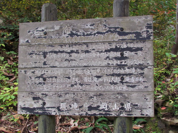 5451����������141026