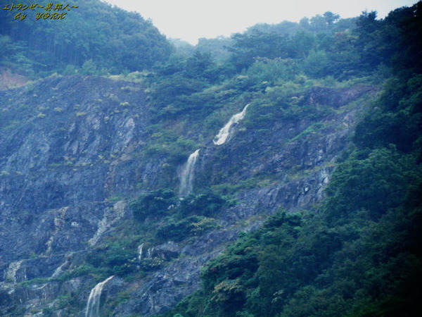 3614������ή��������ʥ���ȥ饹��������140906