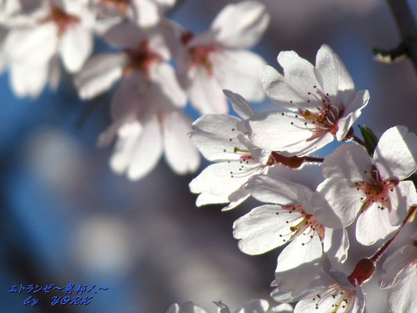 0723�޿���140330